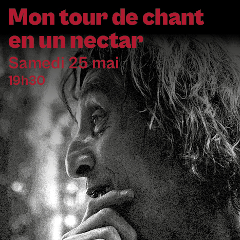 Affiche pour Mon Tour de Chant en un Nectar